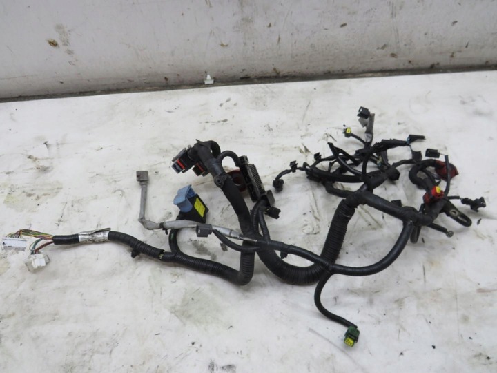 фото №1, Джгут двигуна qashqai j10 1.5 dci 24011br02a