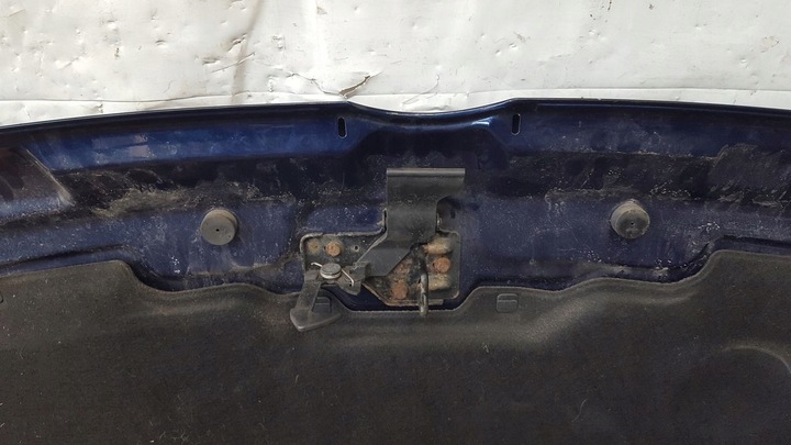 фото №11, Капот ld5q vw t5
