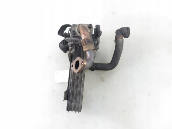 фото №6, Радиатор выхлопных газов vw passat b6 1.9 tdi 036131513ad