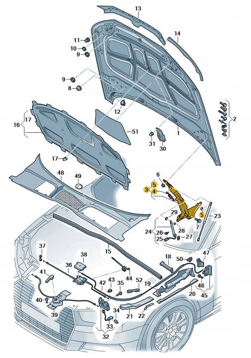 фото №1, Петля капота перед ліва audi a5 b9 aso оригінал