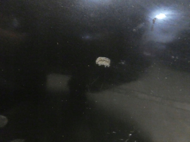 фото №5, Дверь левая левый зад задние mercedes w140