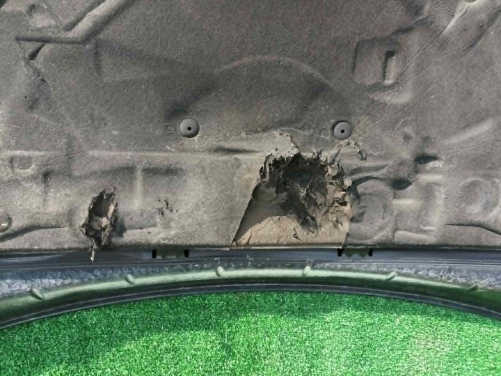 фото №6, Капот saab 9-3 ii 93 цвет 298 рестайлинг sedan универсал 07-11 чёрная