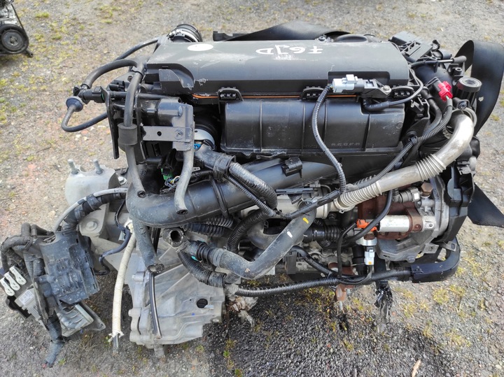 фото №5, Двигун комплектний f6jd ford fiesta mk7 1.4 tdci