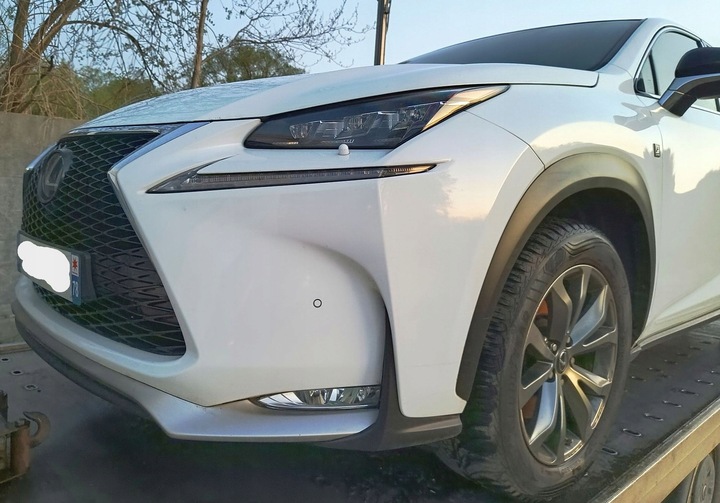 фото №7, Скляний дах панорама чверть повний зад стійка поріг pas задній lexus nx 083