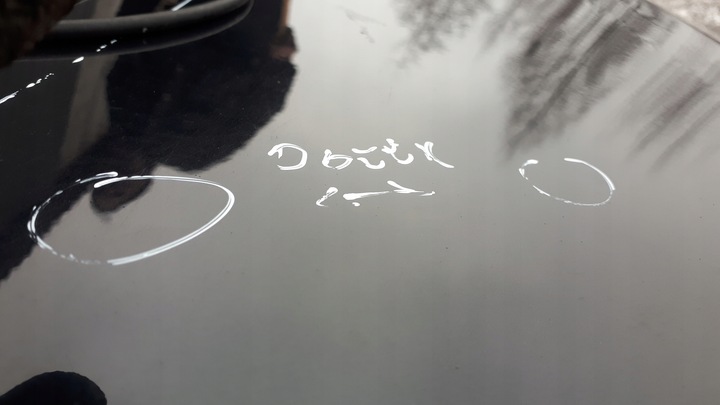 фото №9, A4 b8 s4 дверь левая левый зад задние sedan lz9y