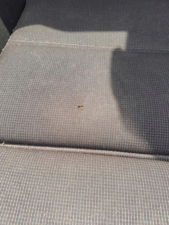 фото №10, Сиденье правые подушка безопасности англичанин volkswagen passat b8