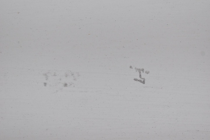 фото №7, Двері бічні зсувні праві білий peugeot boxer 3 iii рестайлінг 14-