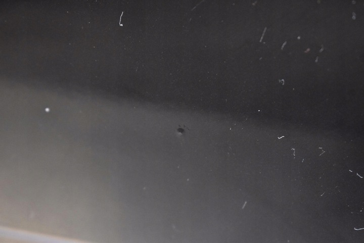 фото №11, Кришка багажника зад задня чорна vw touran 1 i 03-06