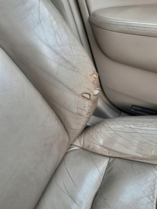 фото №5, Сиденье сиденья диван кожа honda accord vii sedan