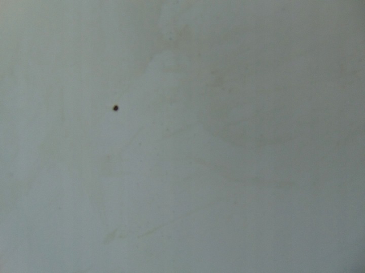 фото №10, Капот крышка двигателя jumpy expert scudo 07- запчасть