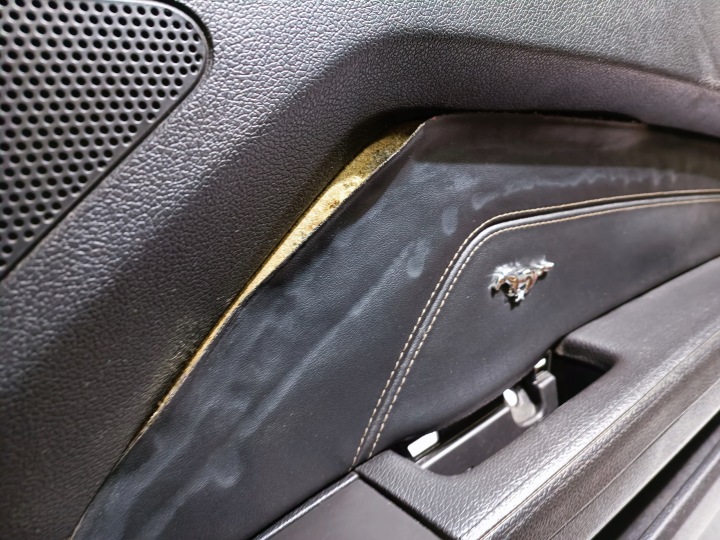фото №11, Дверна карта (обшивка) права premium plus ford mustang v 2010-2014