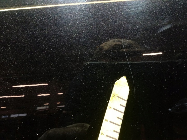 фото №7, Jaguar xf ii x260 sedan двері зад праві задні santorini чорний