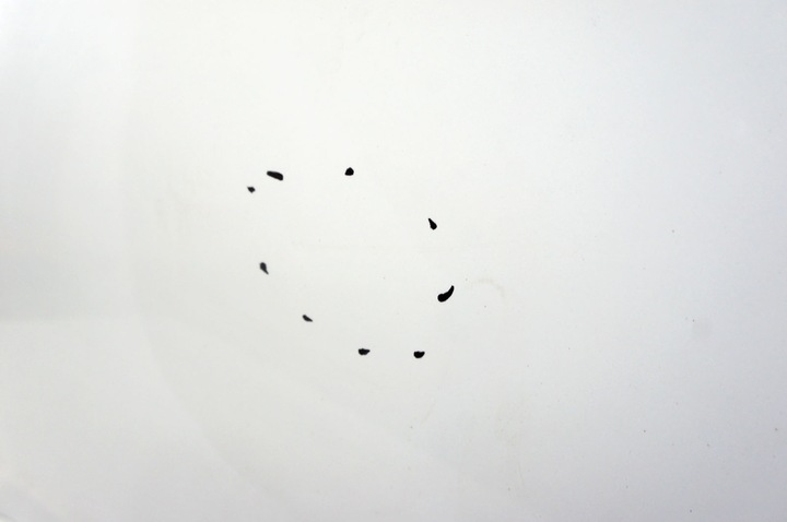 фото №7, Sj191 skoda superb iii ^ дверь левый перед белый ls9r/2y