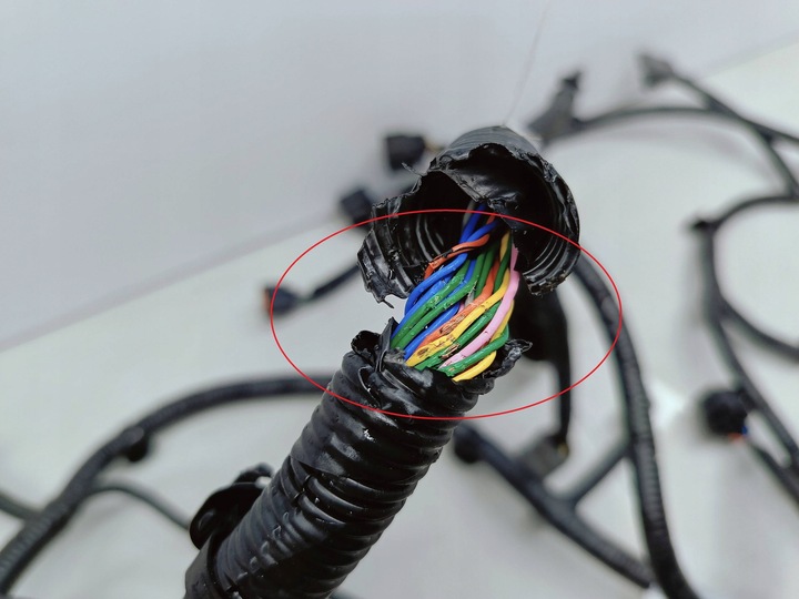 фото №11, Kia ev3 ev 3 iii sv 24- джгут провід бампера передньої 91890-ev660