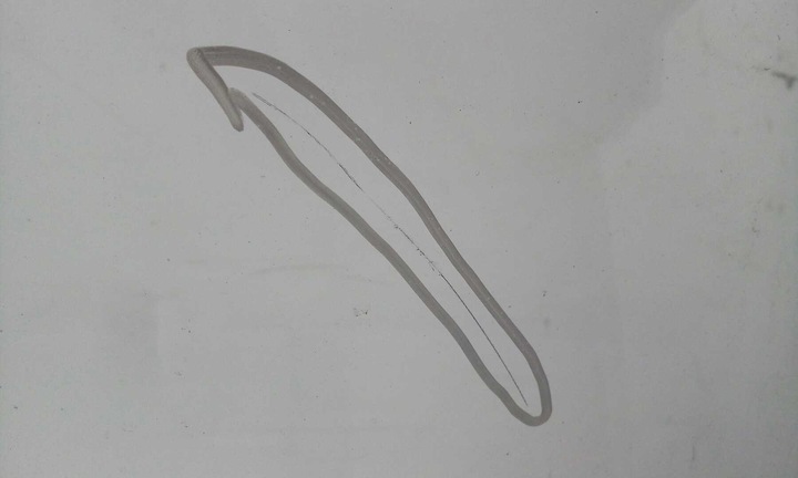 фото №4, Стекло лобовое передняя mercedes c-klasa w204 2007-2014 датчик оригинальная