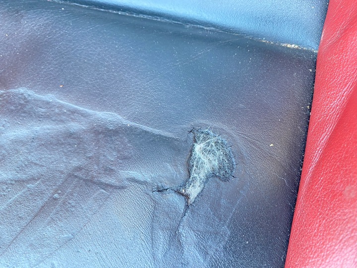 фото №6, Сидіння комплект bmw z4 e85 м-пакет z4m підігрів uk