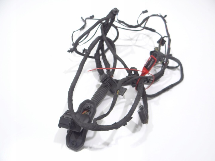 фото №1, Джгут двері ліва передня bmw f10 9291048