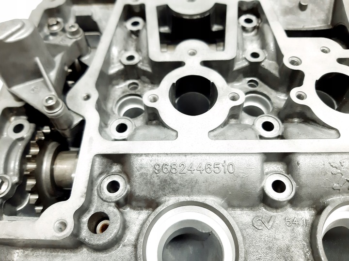 фото №8, Головка восстановленная peugeot citroen 2.0 hdi rh02 9688418110 9682446510