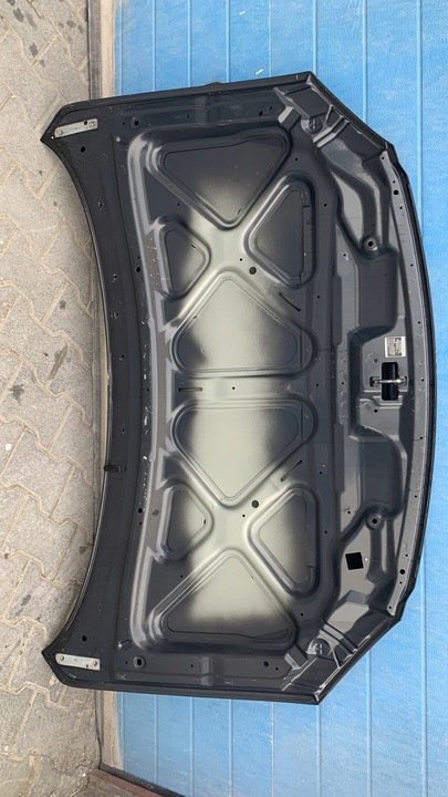 фото №4, Kia carens 2006- капот