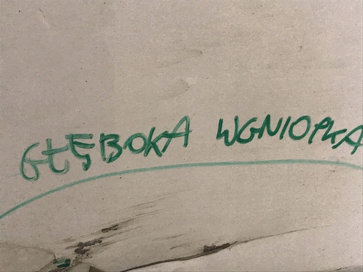 фото №12, Дверь зад задние правые tesla y