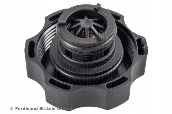 фото №13, Крышка бачка расширительного синий print 1305248