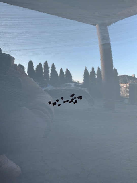 фото №10, Дверь передние левая перед skoda karoq 57a