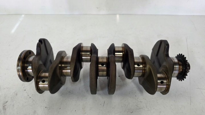 фото №1, Wał коленчатый renault espace iv рестайлинг 2.0t 2.0 turbo f4r