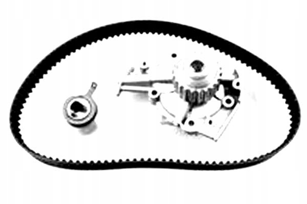 фото №1, Metelli набір розподільний вал з насос chevrolet 1.2 05-