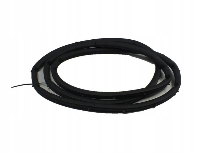 фото №1, Talisman прокладка кузовная дверь правые зад