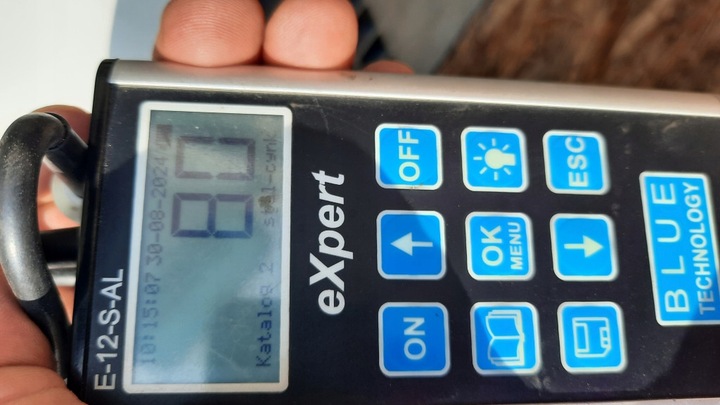 фото №14, Дверь зад задние левая renault traffic iii