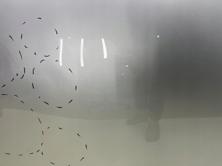 фото №12, Капот mg zs 17r.- кришка двигуна