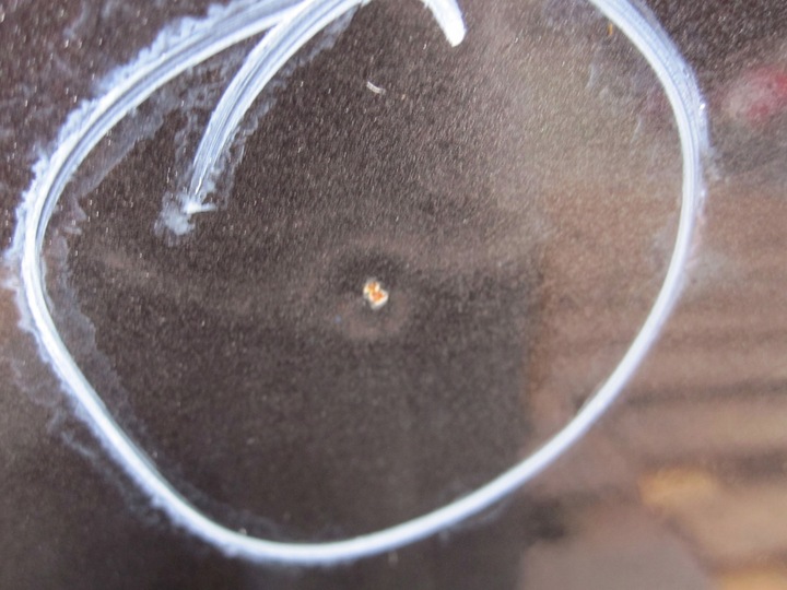 фото №6, Audi q7 4l i 07r дверь правые зад