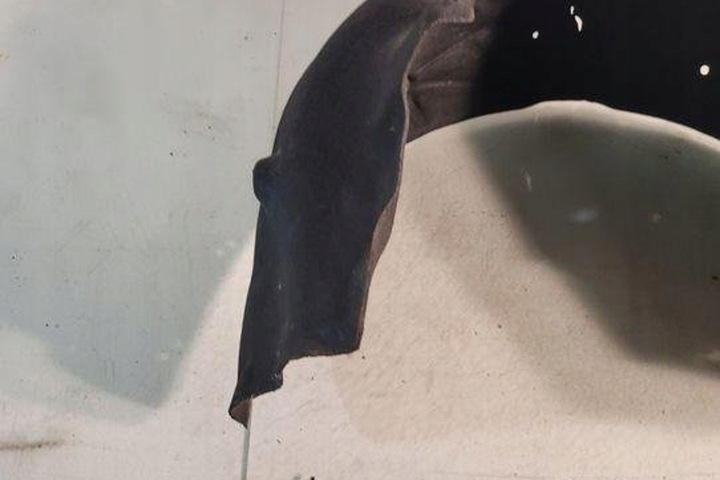 фото №15, Подкрылок левая задние bmw 3 g20, g28 7340929 3.0l бензин 285kw 2020