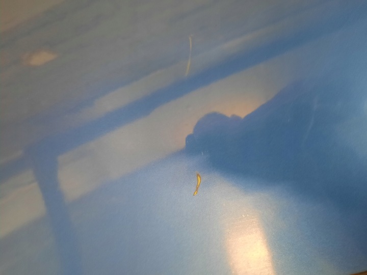 фото №5, Крышка зад задняя bmw 5 m5 f10 цвет b05 montecarlo