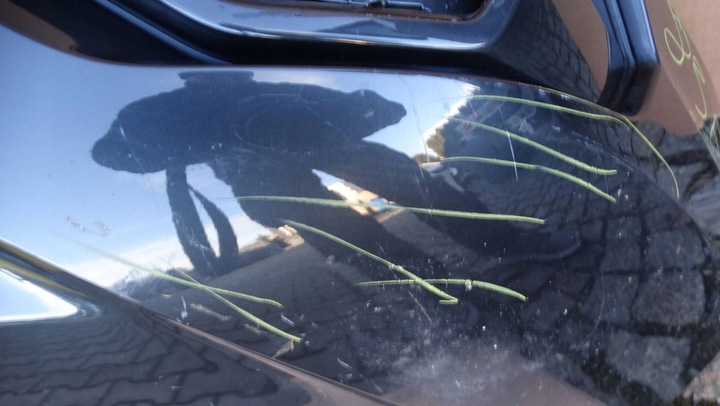 фото №7, Дифузор накладка бампера зад 83f807521 audi q3 ii sportback