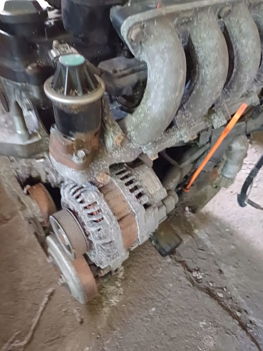 фото №11, Honda jazz iii 08-14r 1.2 i-vtec двигатель l12b1