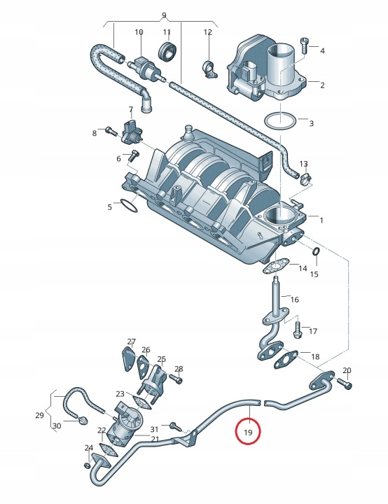 фото №8, Vw seat skoda 1.4 16v aub трубка трубка  egr oem номер 036131521ae оригинальная новая