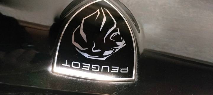 фото №10, Крышка багажника зад peugeot 308 t10