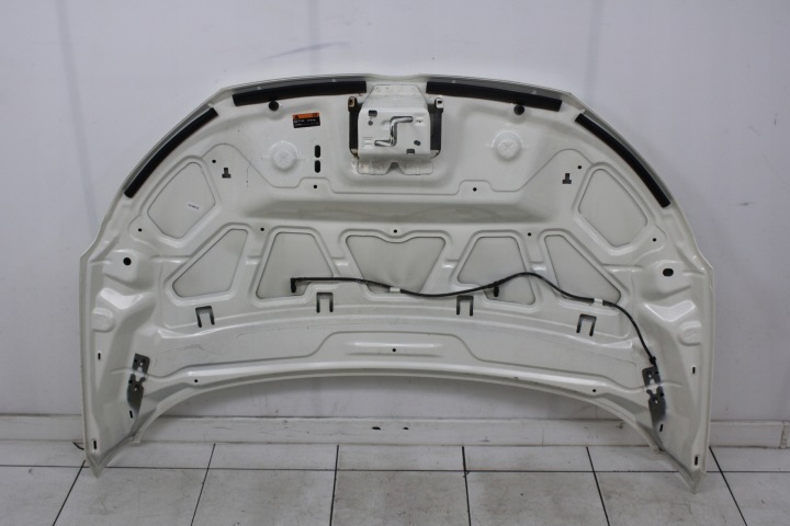 фото №10, Ford ecosport ii 12r- капот кришка двигуна diamond білий no.2