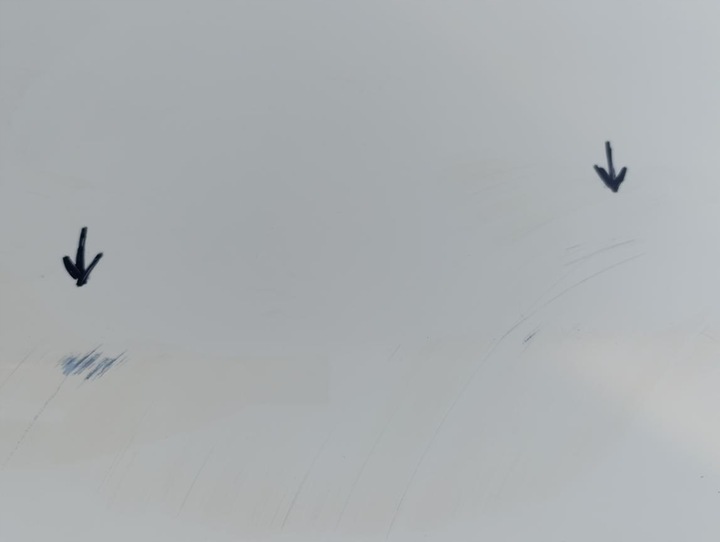 фото №8, Mercedes e-klasa w213 универсал дверь левая задние зад 2137320310