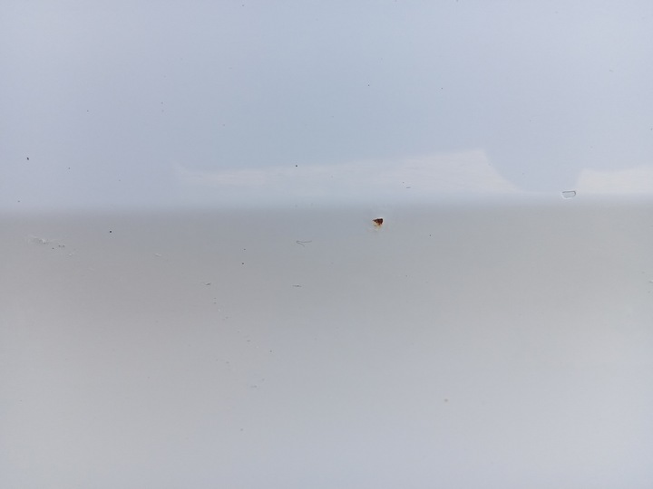 фото №13, Дверь левый перед белый vw passat b7 lb9a