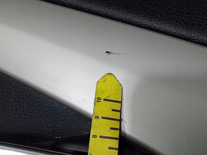 фото №10, Bmw 5 gt f07 сидіння диван обшивки комплект шкіра dakota lcsw eu