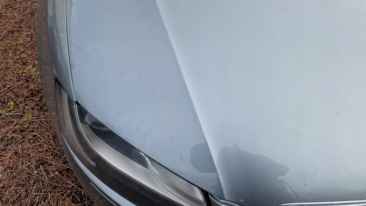 фото №5, Капот audi a5 8t ly7g дорестайлінг w колір