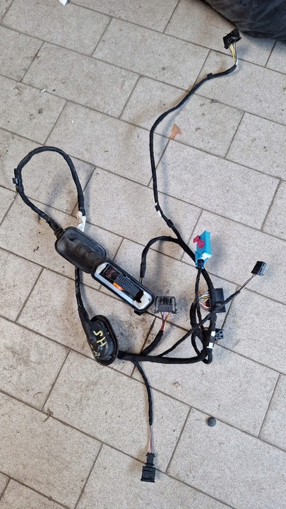 фото №1, Жгут установка дверь перед vw sharan ii 7n0 7n0971120bt