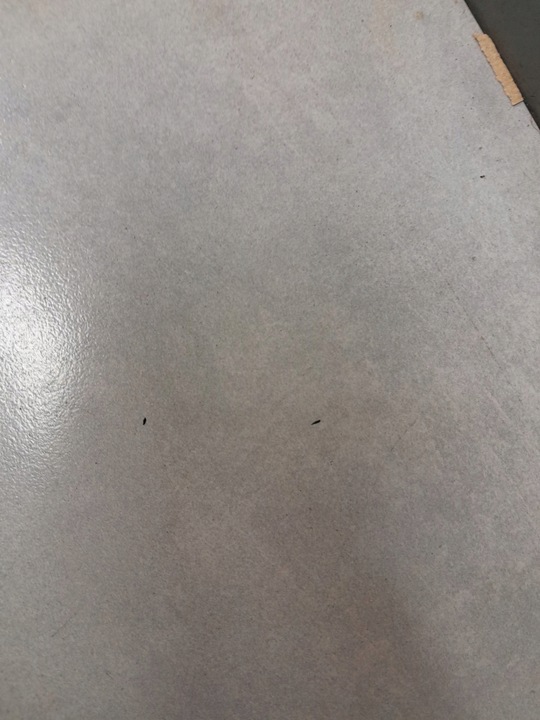 фото №9, Pas безпеки правий зад touran i fl 1.9 tdi