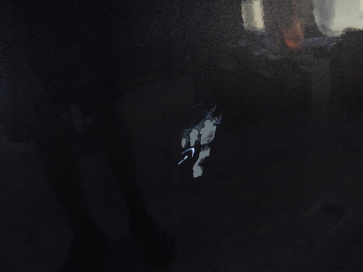 фото №3, Ford kuga mk2 двері ліві зад лівий задні ud колір