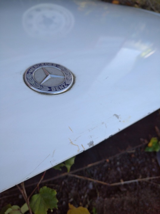 фото №10, Капот mercedes vito