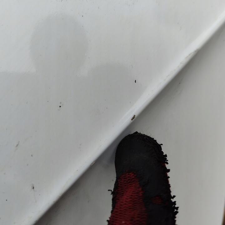 фото №10, Дверь задние зад левая audi a3 8v sportback белая жемчуг