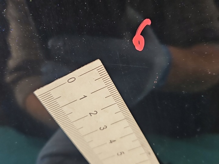 фото №12, Двері зад ліві toyota corolla e16 e18 13- sedan 4d графітовий 1h2