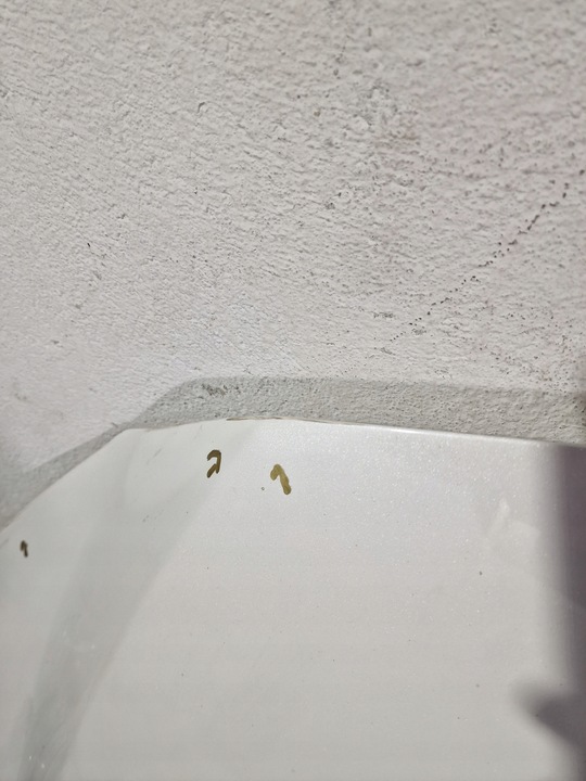 фото №6, Mazda 6 gj gl 2012 - 2018 капот оригінал